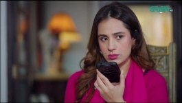 Shehzadi House - Episode 56